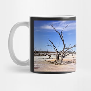 Dry Salt Pan and Dead Tree - Photography by Avril Thomas Mug